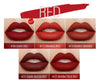 Load image into Gallery viewer, Professional Long lasting Lipstick - 19pcs/Set
